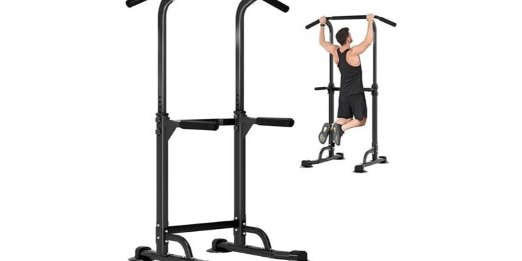 detailed review of dlandhome power tower dip station