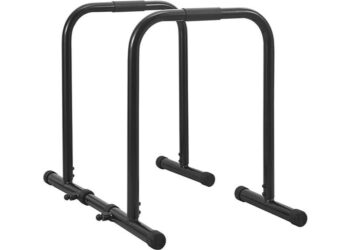 functional heavy duty dip station