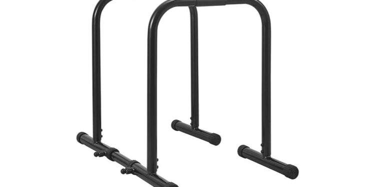 functional heavy duty dip station