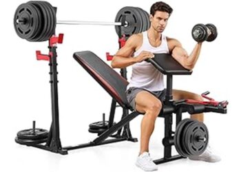 quality review of aceshin weight bench