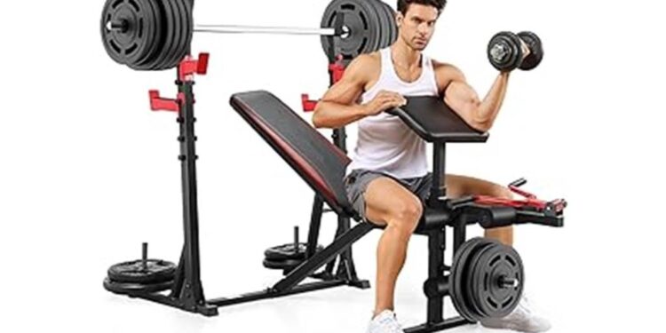 quality review of aceshin weight bench