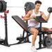 quality review of aceshin weight bench